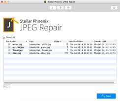 Stellar Phoenix JPEG Repair 7.0.0.2 Crack + Serial Keygen Latest 2020